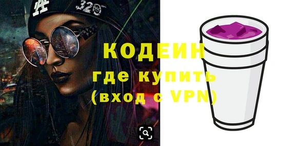 МДПВ Бородино
