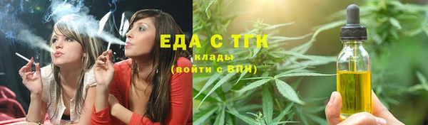 МДПВ Бородино