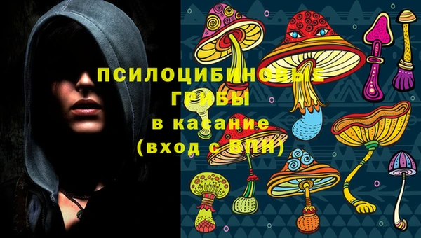 сатива Бронницы