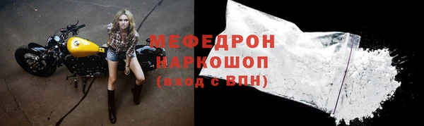 МДПВ Бородино
