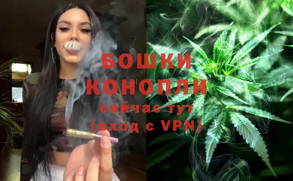 сатива Бронницы