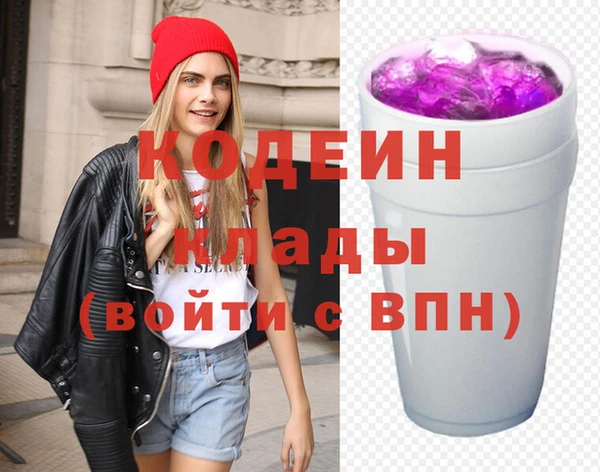 МДПВ Бородино