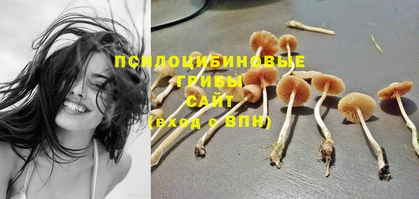 сатива Бронницы