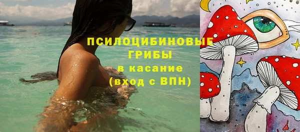 сатива Бронницы
