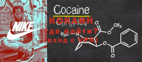 МДПВ Бородино