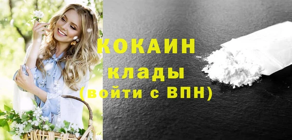 МДПВ Бородино