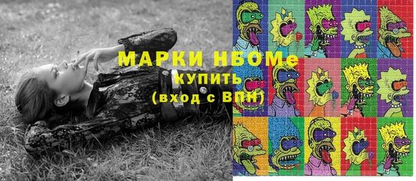 МДПВ Бородино