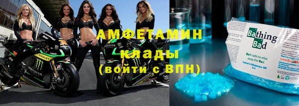 МДПВ Бородино