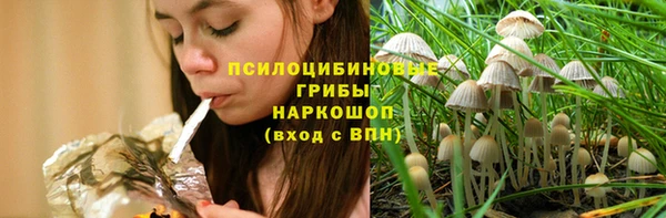 МДПВ Бородино