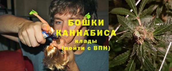 сатива Бронницы
