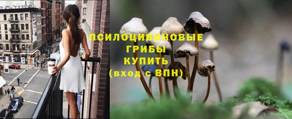 МДПВ Бородино