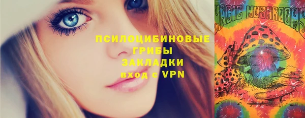 сатива Бронницы